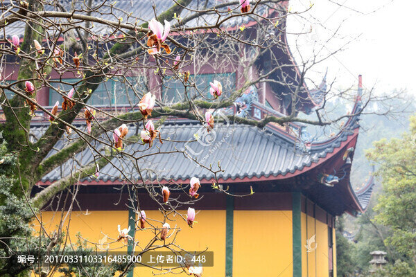 杭州靈隱寺,云林寺