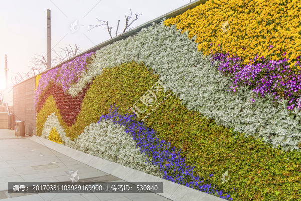 鮮花植物墻