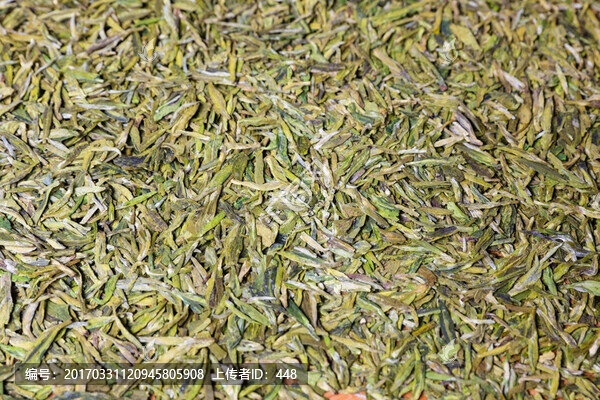 龍井茶,新茶上市,西湖龍井