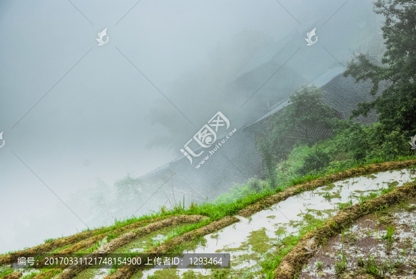 梯田風(fēng)光