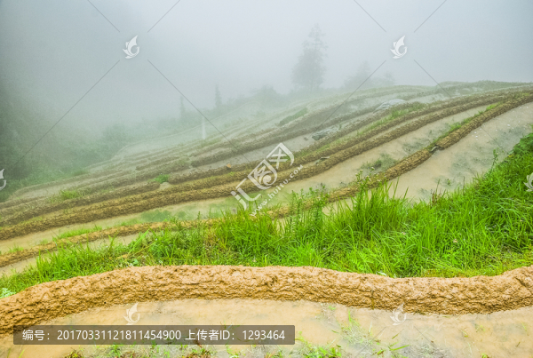 梯田風(fēng)光