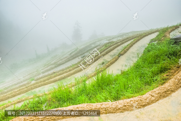 梯田風(fēng)光