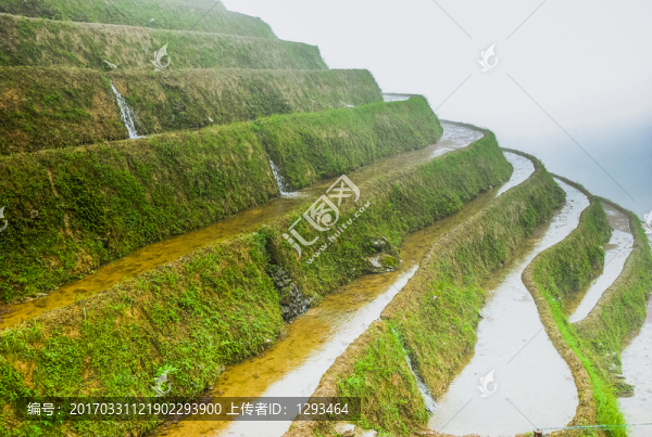 梯田風(fēng)光