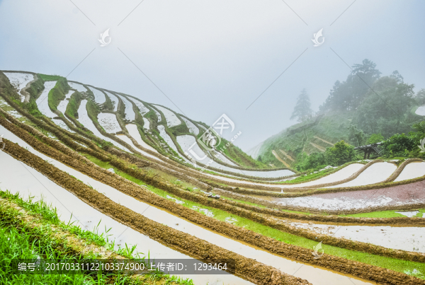 梯田風(fēng)光
