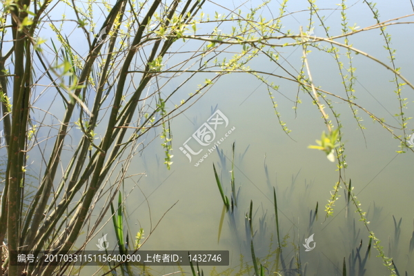 安靜春天