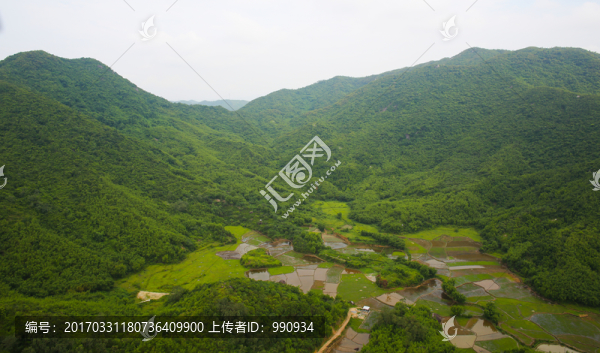 山脈,青山,高山
