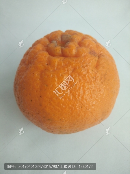 丑橘,不知火