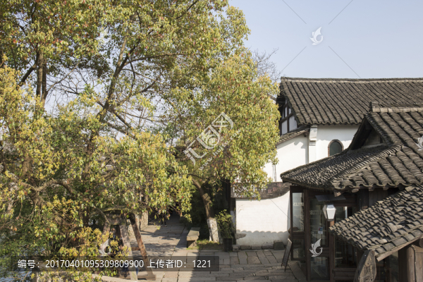 烏鎮(zhèn)