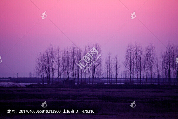 北大荒,黑土地,農(nóng)田,晚霞