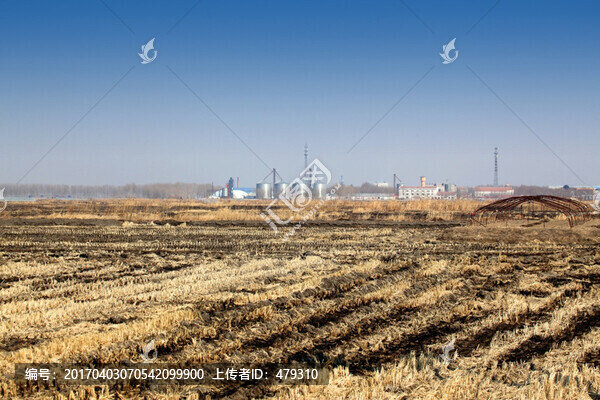 北大荒,黑土地,農(nóng)田