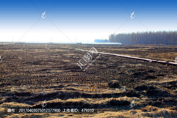 北大荒,黑土地,農(nóng)田