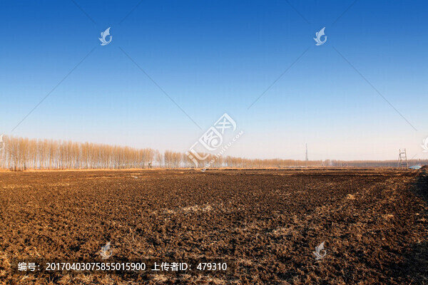 北大荒,黑土地,農(nóng)田