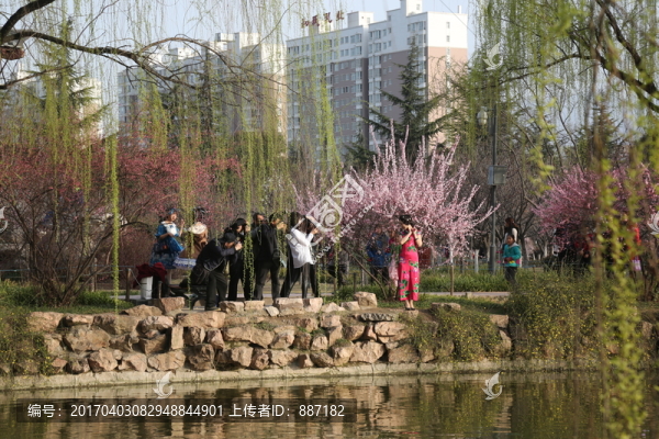 公園里組織模特?cái)z影