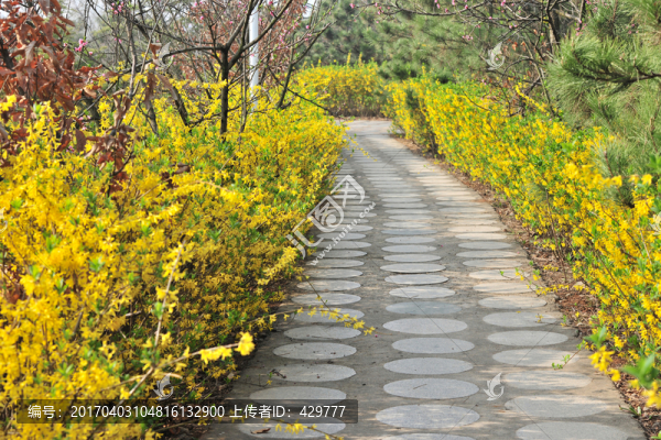 公園石板路