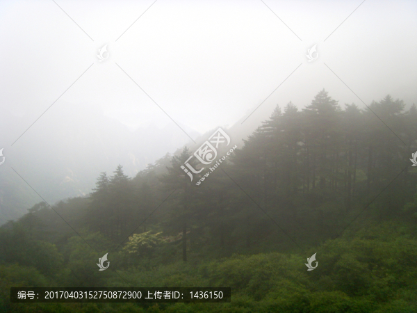山間霧氣