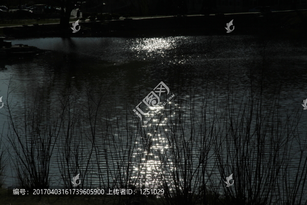 月光