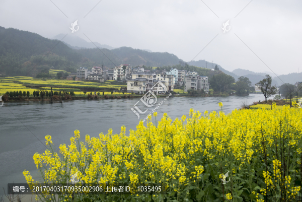 春天的風(fēng)景