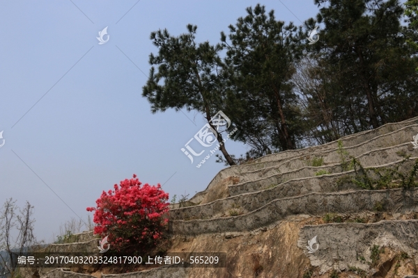 云霧山風(fēng)景