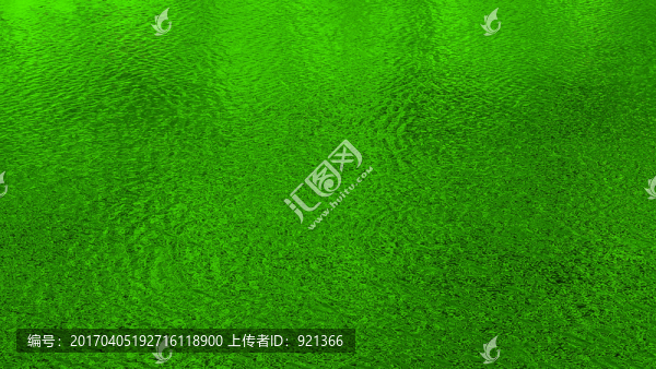 水面