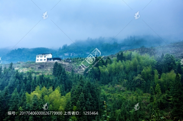 霧色山景