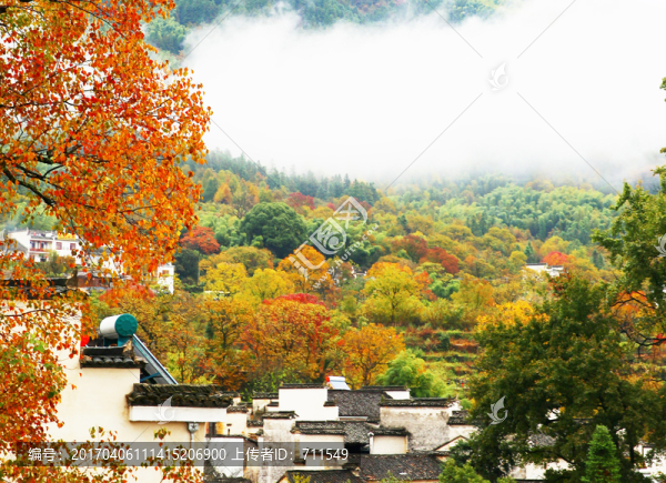 塔川秋色