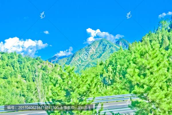 山峰,樹木