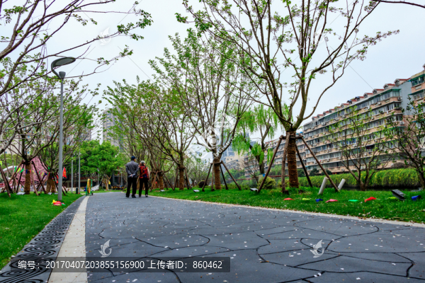 櫻花公園景觀,公園道路