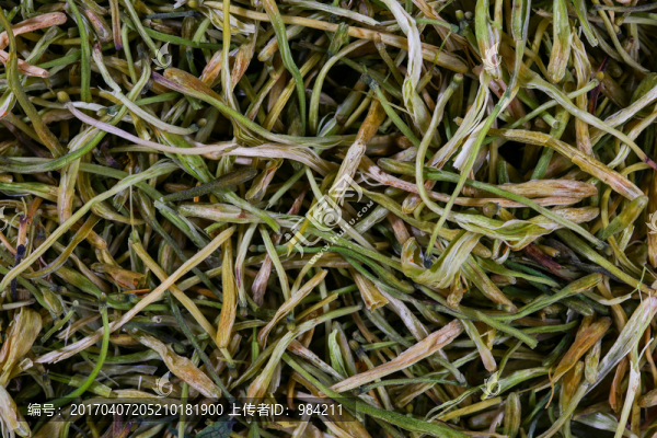 金銀花,草茶葉