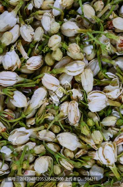 茉莉花茶