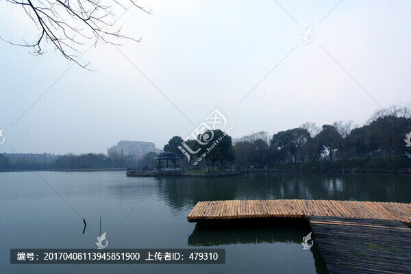 公園,園林,湖水