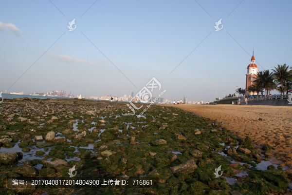 海口假日海灘,沙灘綠洲
