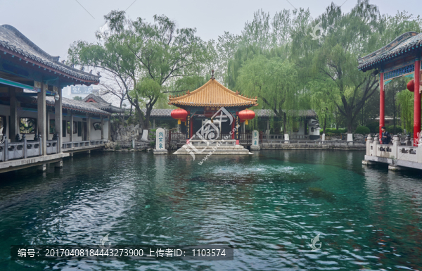 趵突泉