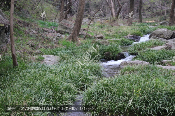 溪水山泉