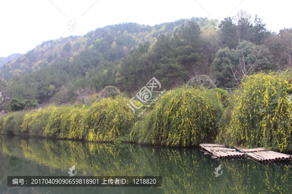 竹排倒影遠(yuǎn)景