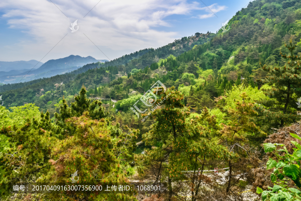 石云山