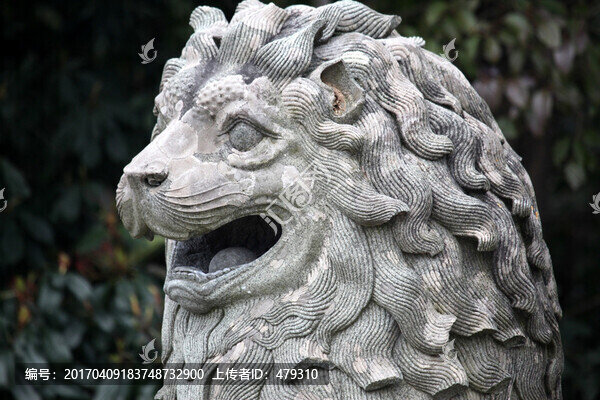 雕塑,獅子,石頭獅子