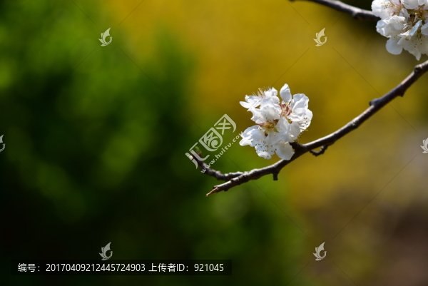 開(kāi)春