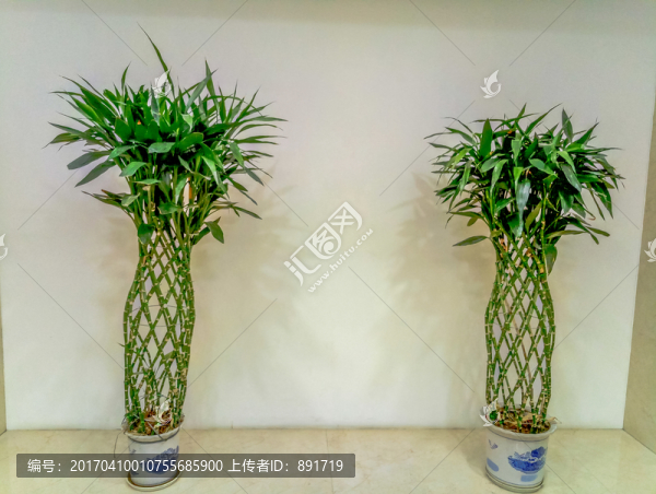 盆栽素材