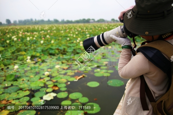 拍荷花的攝影人