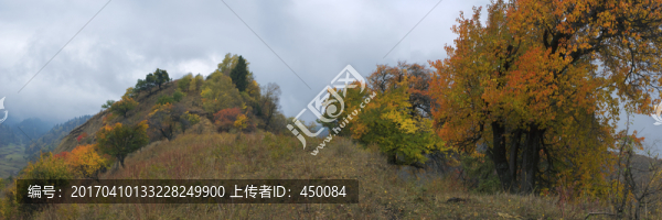 秋天