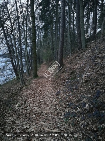 林間小路