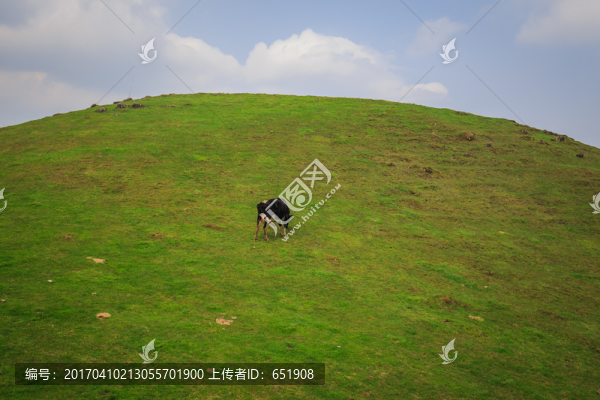 南山牧場