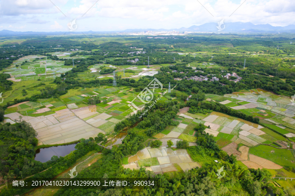 山丘,大地,綠色的山丘