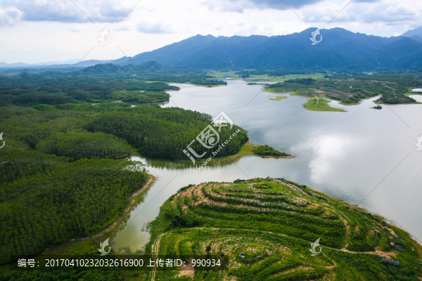 水庫,茅垌水庫