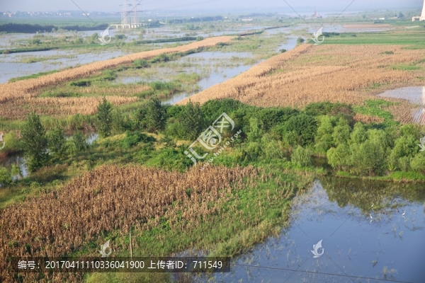 淮南淮河岸邊生態(tài)濕地