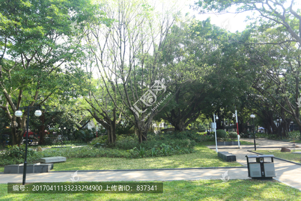 公園綠化