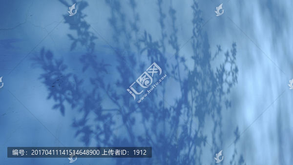 樹影