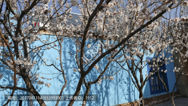 黎光街民居