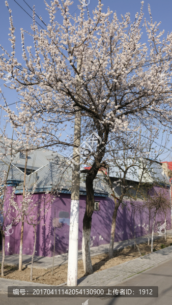 黎光街民居
