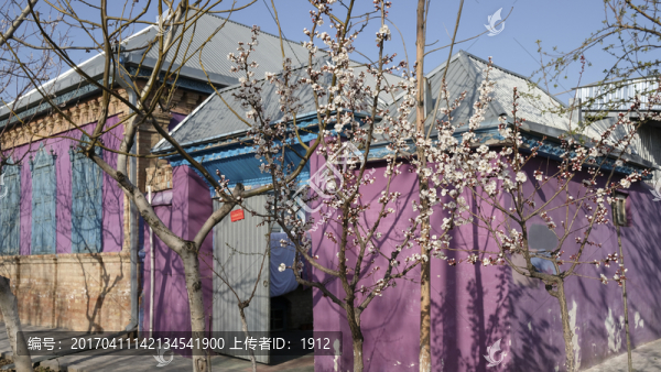 黎光街民居